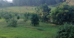 Sítio Carmo do Rio Claro/MG