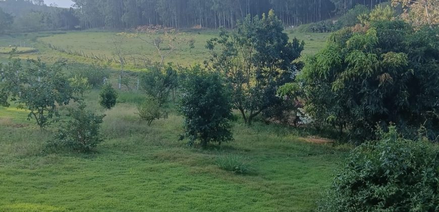 Sítio Carmo do Rio Claro/MG