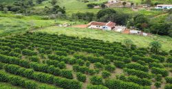 Propriedade Rural Carmo do Rio Claro/MG